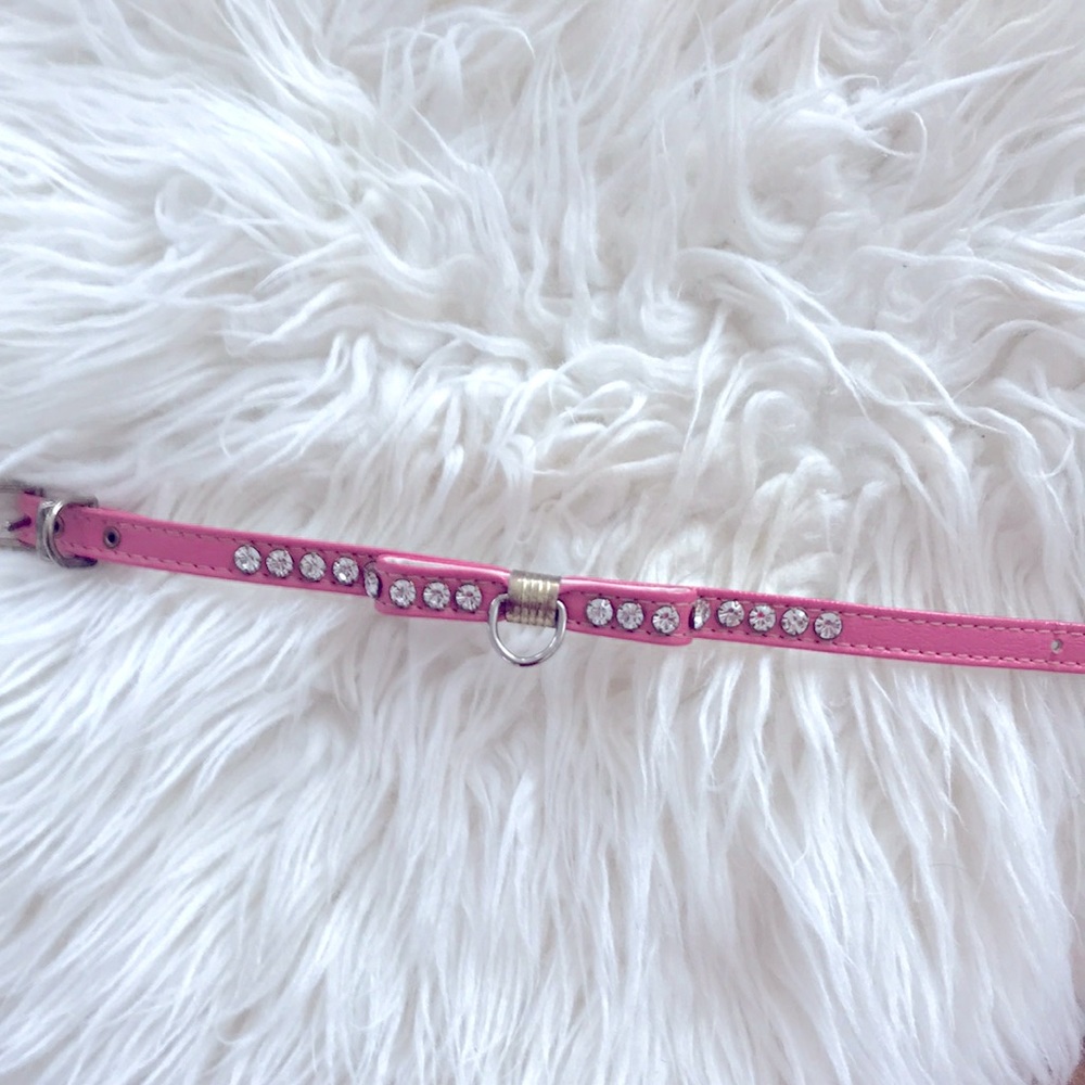 Sparkly diamond dog collar